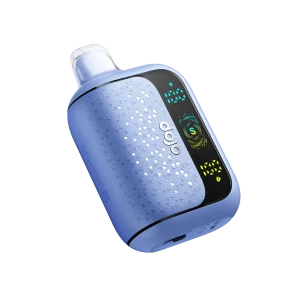 Blueberry Watermelon - DOJO Sphere S 40K Disposable Vape