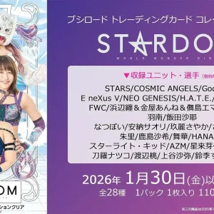 Bushiroad Trading Card STARDOM Clear Collection Box 20 Packs
