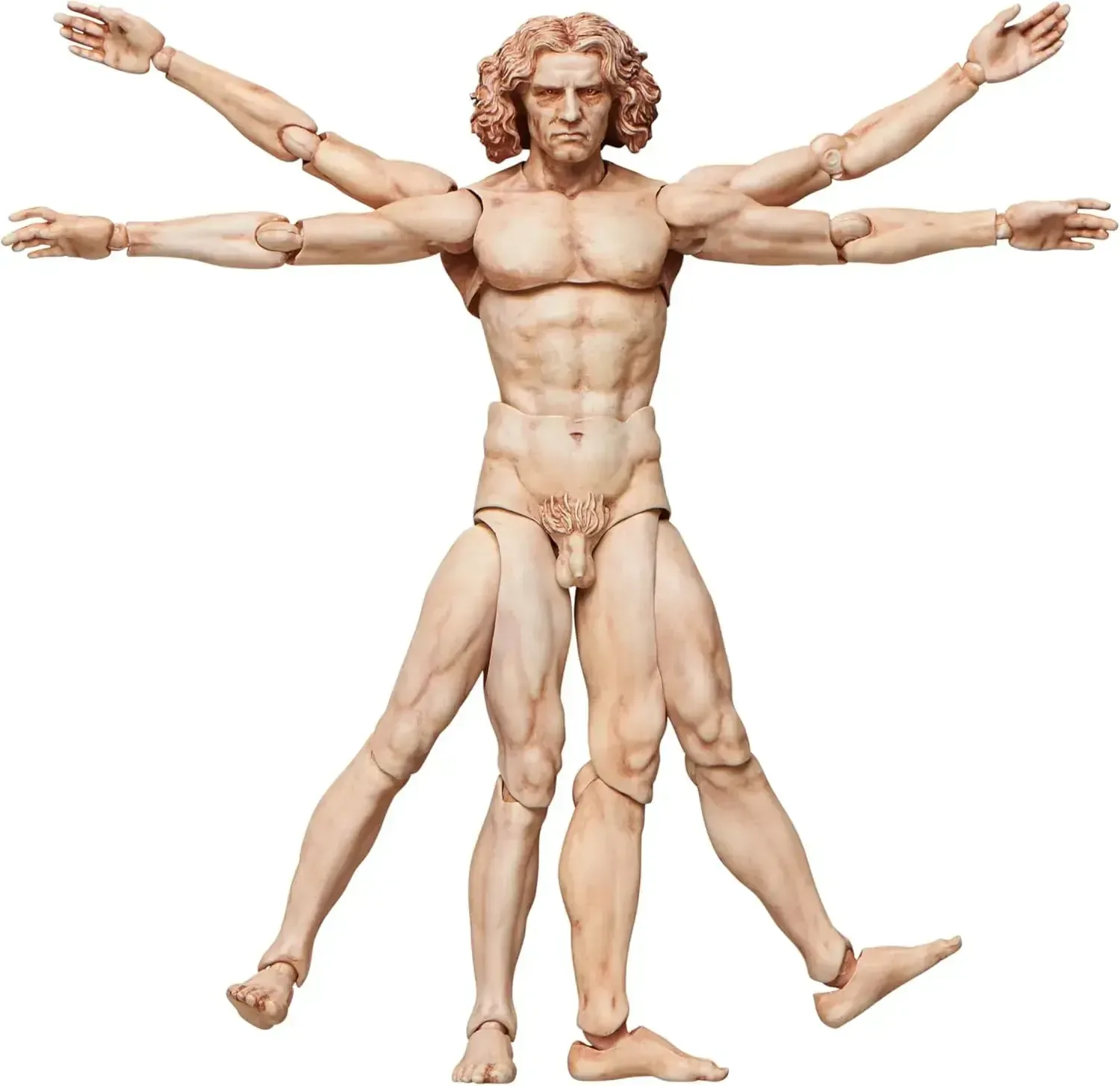 FREEing Vitruvian Human Body Figure - PVC ABS Pre-Painted Articulated