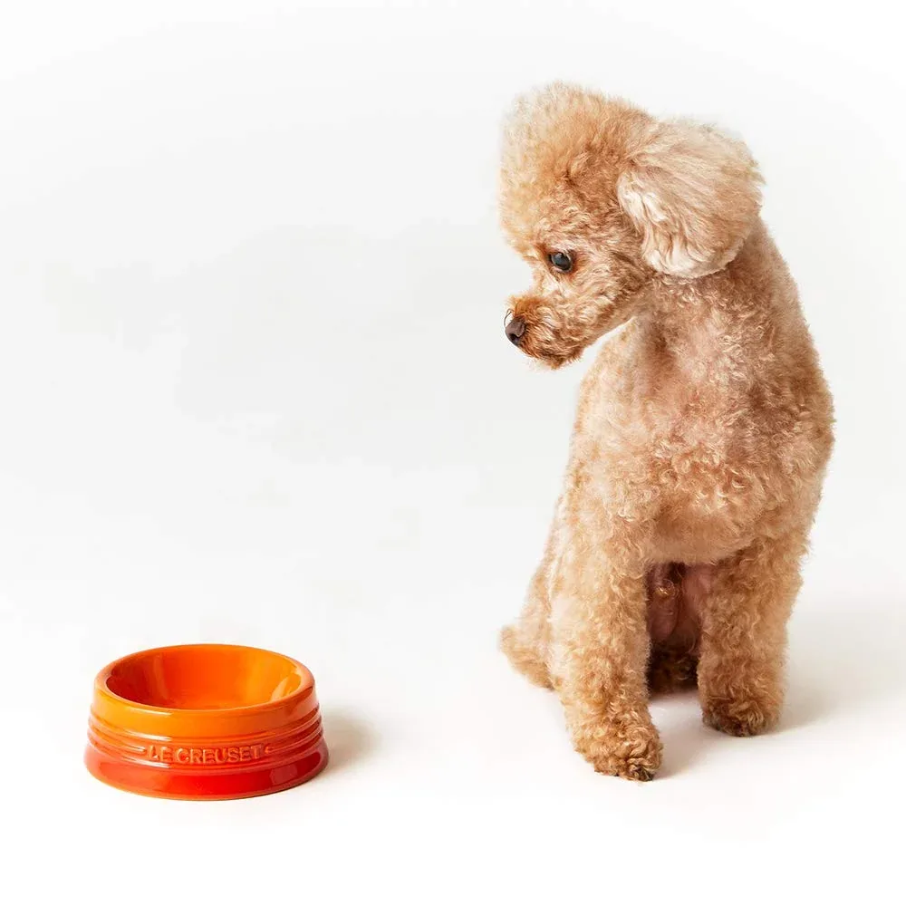 Le Creuset Cool Mint Pet Bowl S Stain Resistant Microwave Safe for Pets - Image 2