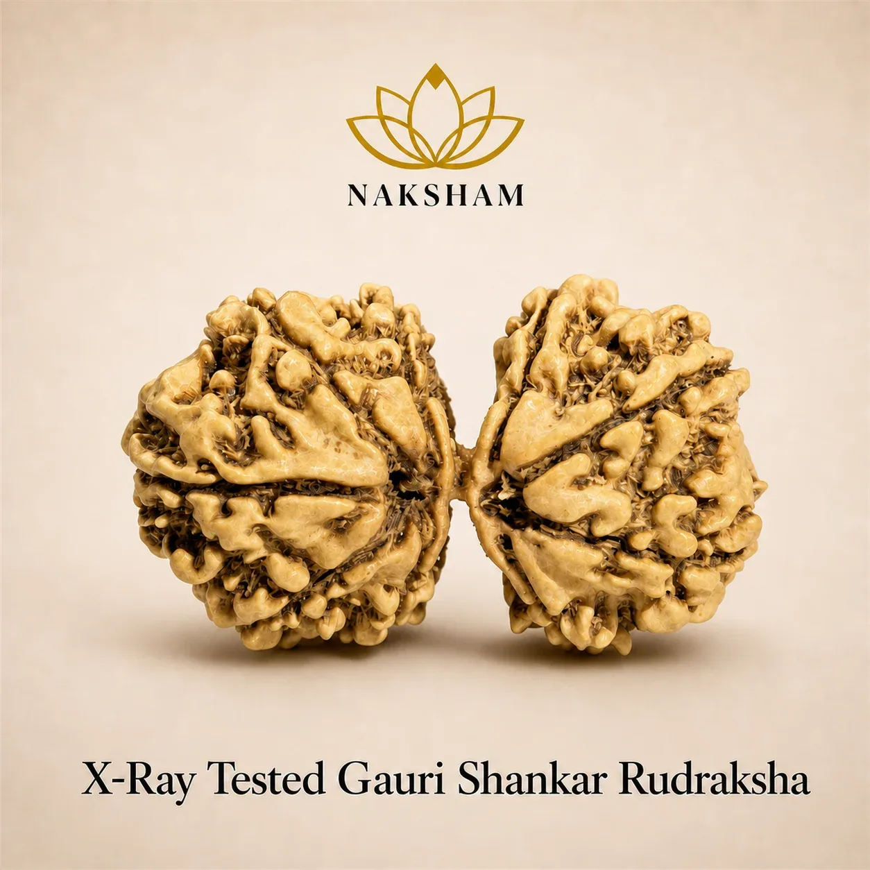 Naksham Gauri Shankar Rudraksha (Nepal)
