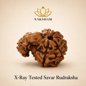 Naksham Savar Rudraksha (Nepal)