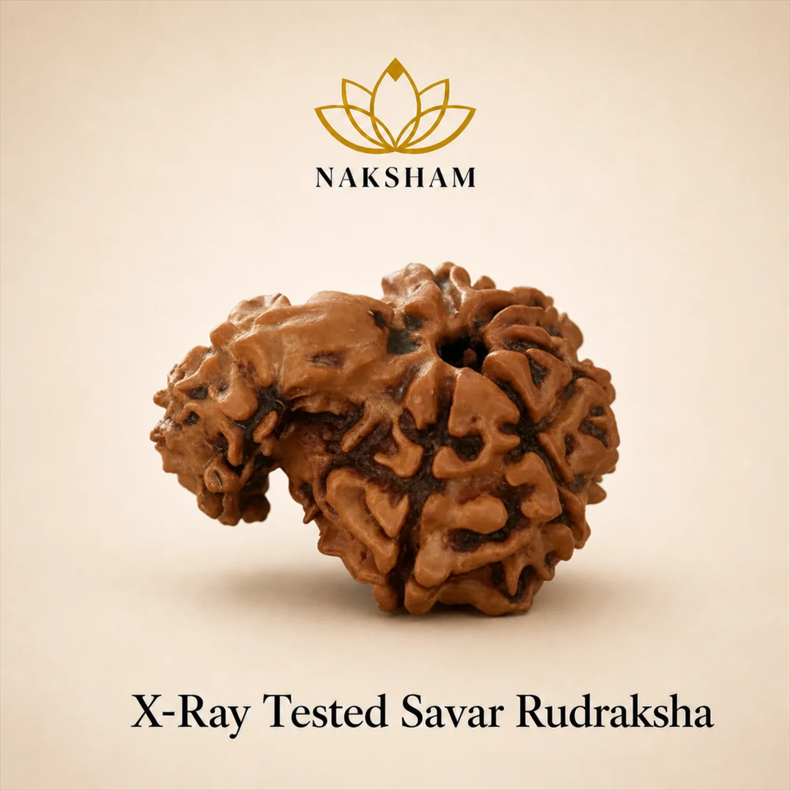 Naksham Savar Rudraksha (Nepal)