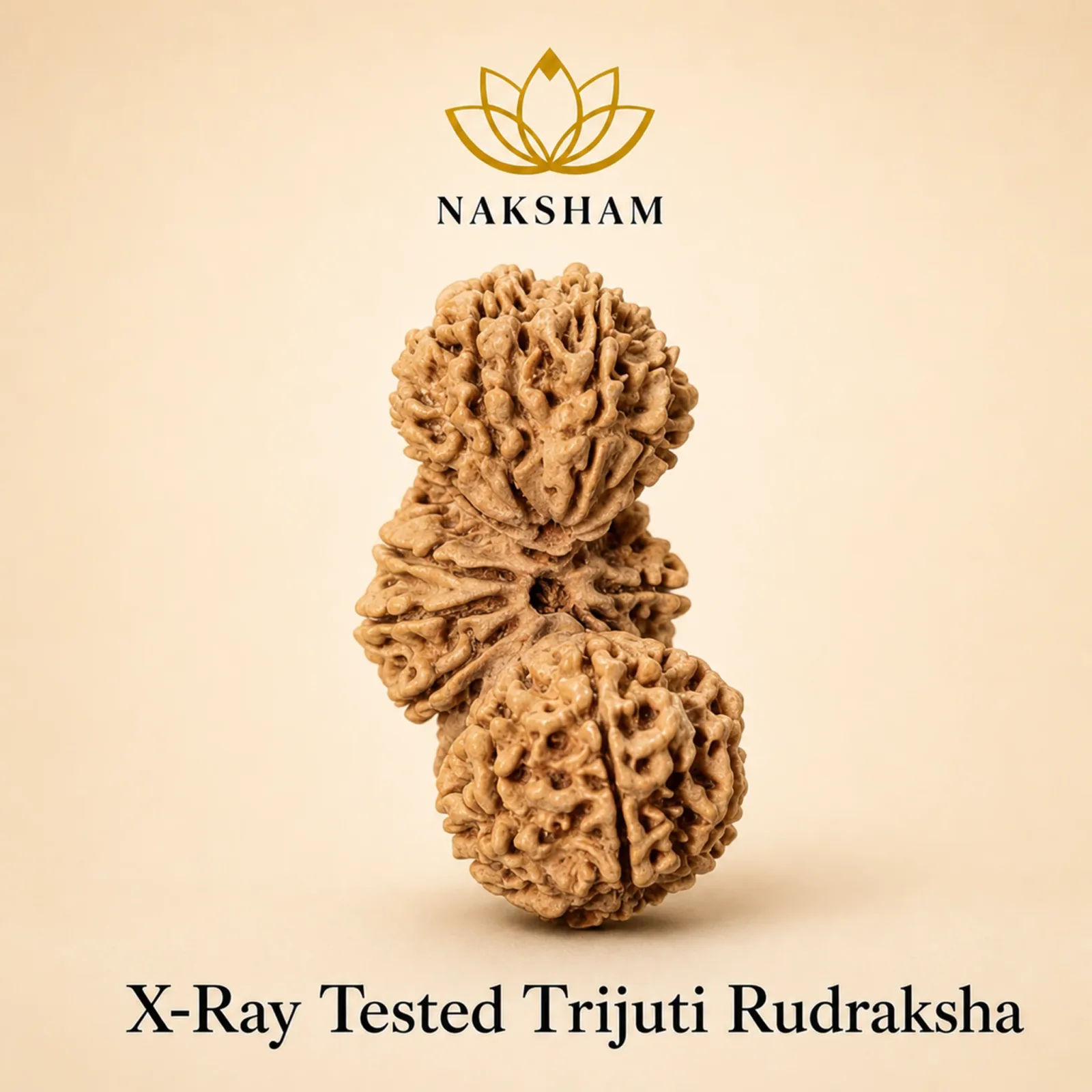 Naksham Trijuti Rudraksha (Nepal)