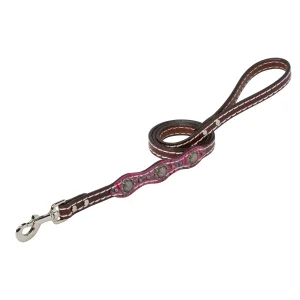 Vintage Paisley Leash
