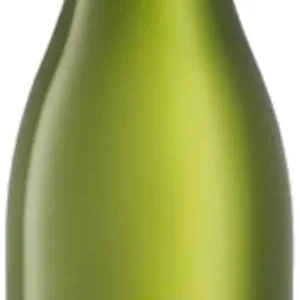 Vondeling Petit Blanc Chenin Blanc 2024