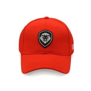 VT Lion Shield Logo Flex Fit Hat