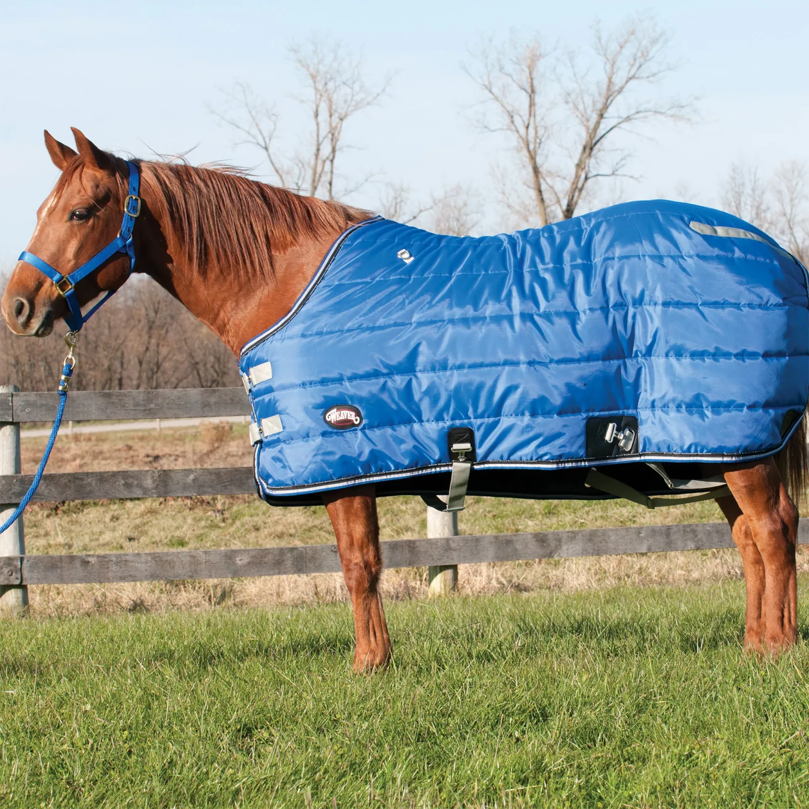 Winter Horse Stable Blanket, Heavy Weight 300g Fill, 420 Denier - Image 2